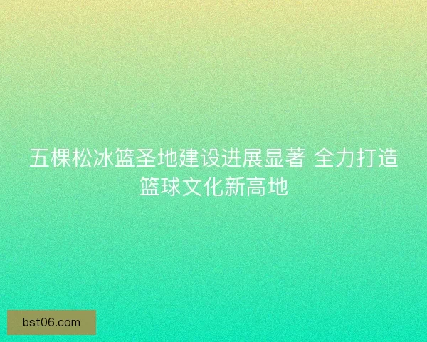 五棵松冰篮圣地建设进展显著 全力打造篮球文化新高地